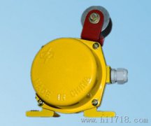 LLJ-B料流檢測器，料流開關(guān)，220V防爆型