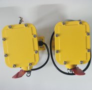 YPSL-B縱向撕裂開(kāi)關(guān)質(zhì)量贏客戶(hù)BZL-220B防爆縱向撕裂保護(hù)裝置