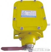 THZL-B-II縱向撕裂開關(guān)，撕裂檢測裝置，批發(fā)工程案例