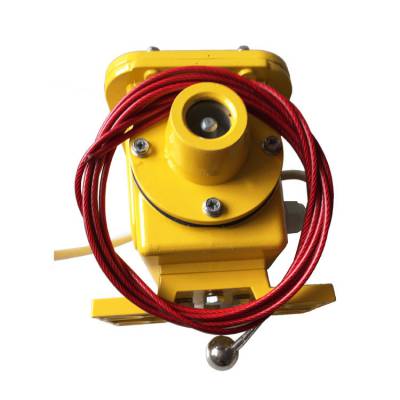 JYB-DQYC-Z撕裂控制箱耐腐蝕、JYB-GDZL-Z-A光電檢測(cè)縱向撕裂保護(hù)裝置生產(chǎn)