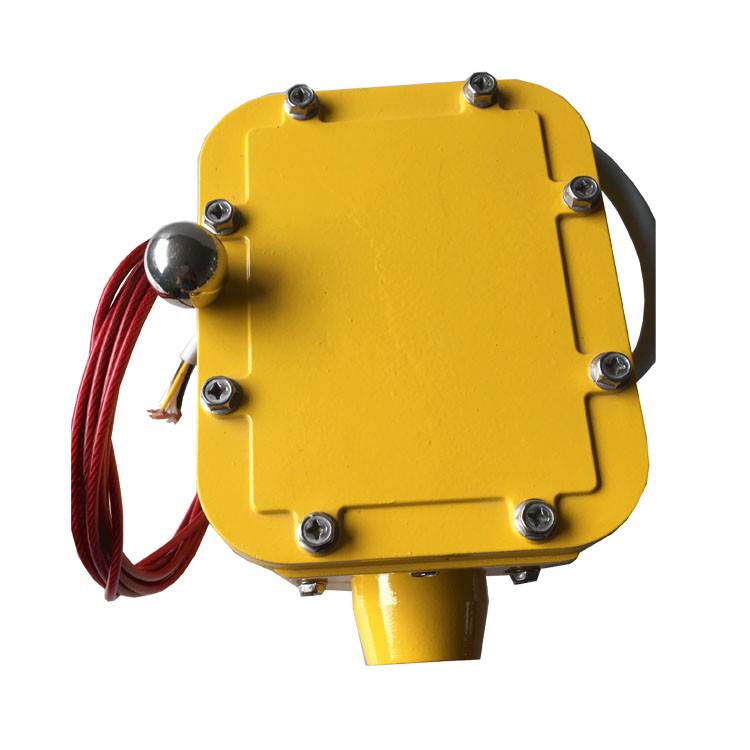 皮帶縱向撕裂檢測器SCPT-180-30、皮帶縱向撕裂檢測裝置ZL-B-II-100生產(chǎn)